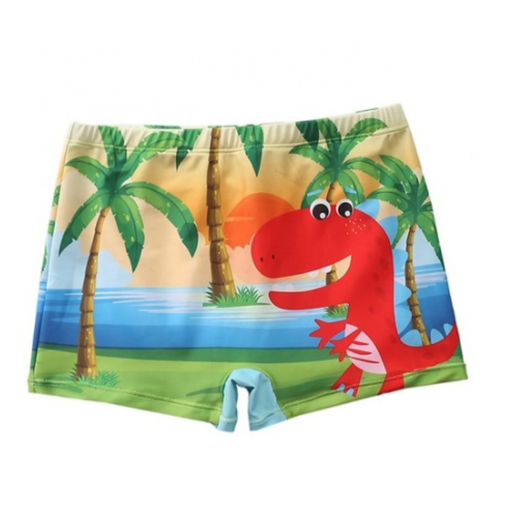 Boy's Swim Trunks (Red Dino)